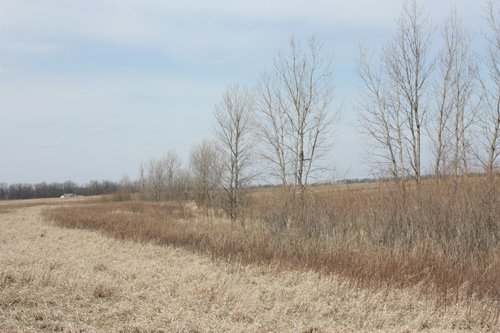 Property photo 1 - 194.67 Acres Offered in 2 Tracts